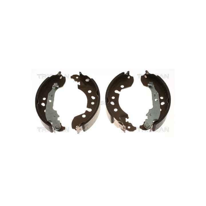 Stabdžių trinkelių komplektas TRISCAN 8100 23034