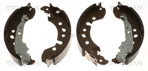 Stabdžių trinkelių komplektas TRISCAN 8100 23034