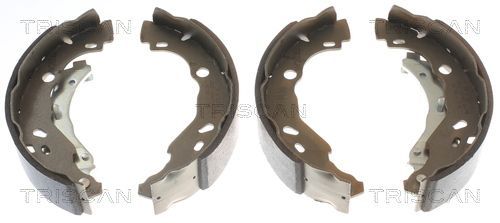 Stabdžių trinkelių komplektas TRISCAN 8100 25001