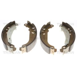 Stabdžių trinkelių komplektas TRISCAN 8100 25002