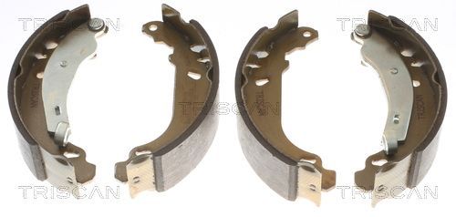Stabdžių trinkelių komplektas TRISCAN 8100 25002