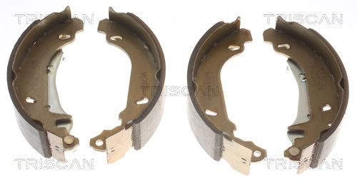 Stabdžių trinkelių komplektas TRISCAN 8100 25002