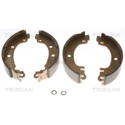 Stabdžių trinkelių komplektas TRISCAN 8100 25003