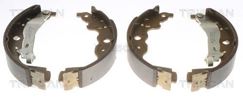 Stabdžių trinkelių komplektas, stovėjimo stabdis TRISCAN 8100 25004