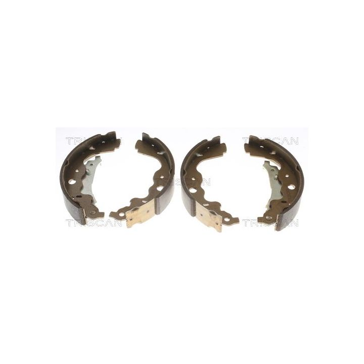 Stabdžių trinkelių komplektas, stovėjimo stabdis TRISCAN 8100 25004