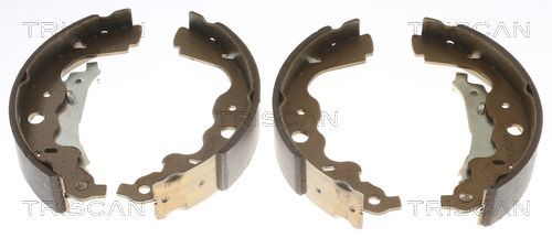 Stabdžių trinkelių komplektas, stovėjimo stabdis TRISCAN 8100 25004