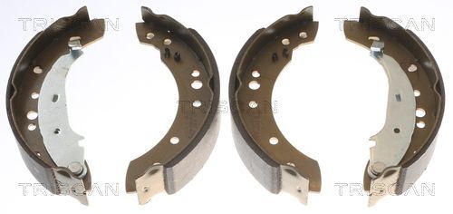 Stabdžių trinkelių komplektas TRISCAN 8100 25005