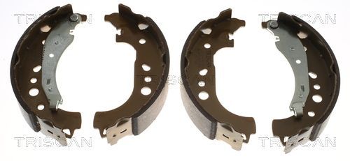 Stabdžių trinkelių komplektas TRISCAN 8100 25007