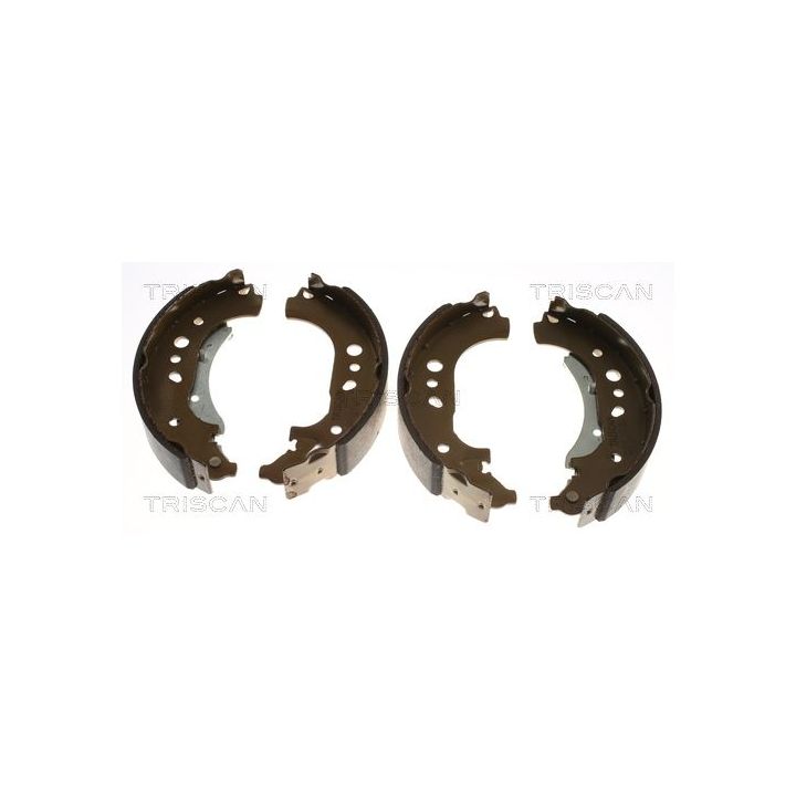 Stabdžių trinkelių komplektas TRISCAN 8100 25007