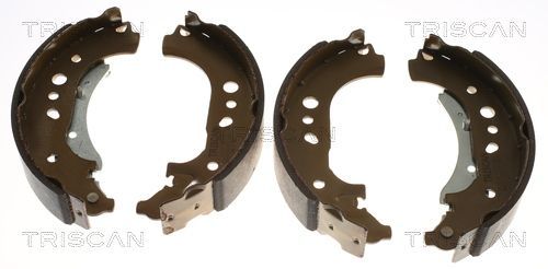 Stabdžių trinkelių komplektas TRISCAN 8100 25007