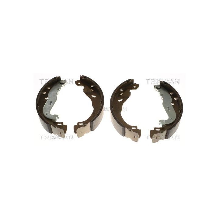 Stabdžių trinkelių komplektas, stovėjimo stabdis TRISCAN 8100 25008