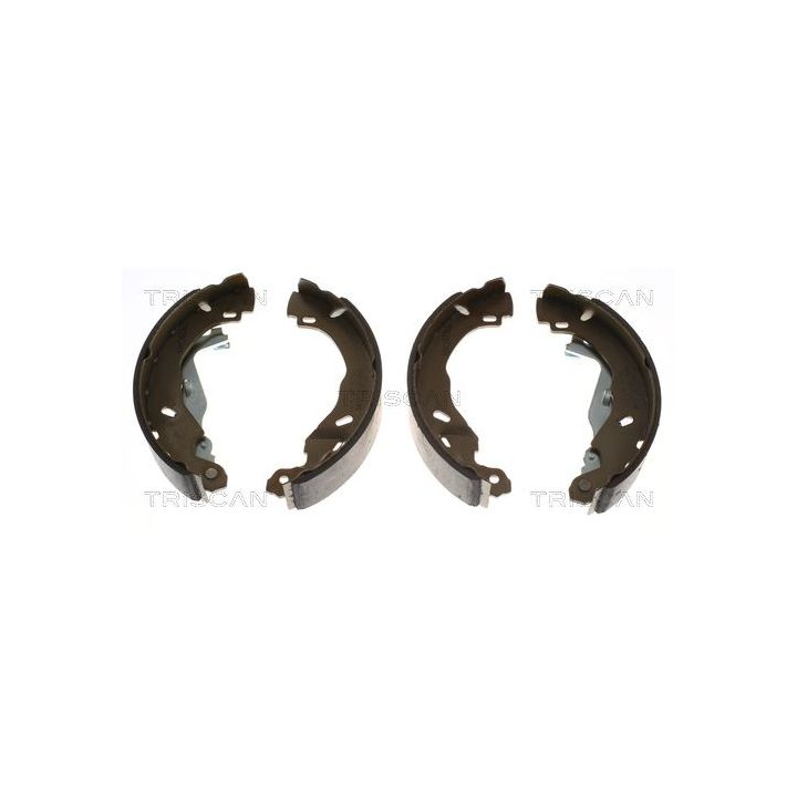 Stabdžių trinkelių komplektas, stovėjimo stabdis TRISCAN 8100 25008