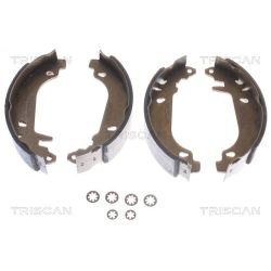 Stabdžių trinkelių komplektas TRISCAN 8100 25476