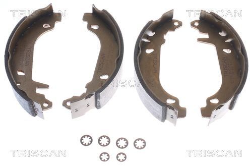 Stabdžių trinkelių komplektas TRISCAN 8100 25476