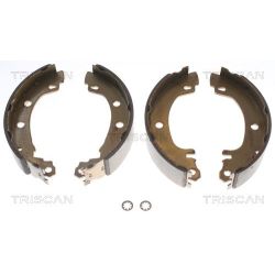 Stabdžių trinkelių komplektas TRISCAN 8100 25581