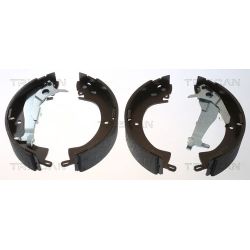 Stabdžių trinkelių komplektas TRISCAN 8100 42018