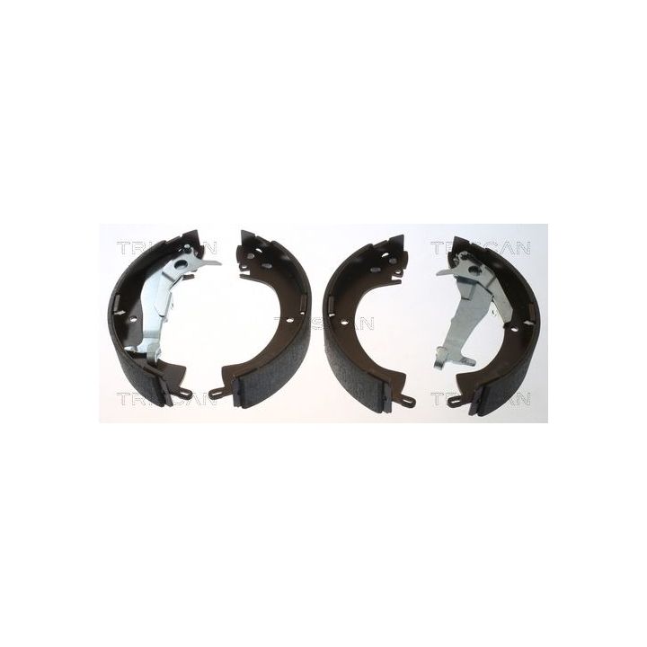 Stabdžių trinkelių komplektas TRISCAN 8100 42018