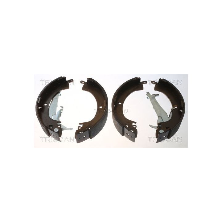 Stabdžių trinkelių komplektas TRISCAN 8100 42018