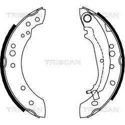 Stabdžių trinkelių komplektas TRISCAN 8100 42020