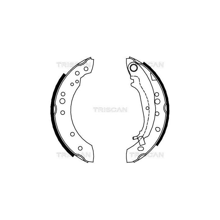 Stabdžių trinkelių komplektas TRISCAN 8100 42020