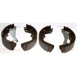 Stabdžių trinkelių komplektas TRISCAN 8100 43010