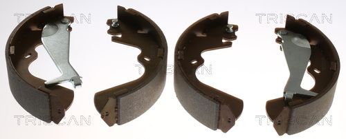 Stabdžių trinkelių komplektas TRISCAN 8100 43010