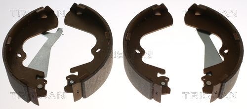 Stabdžių trinkelių komplektas TRISCAN 8100 43010