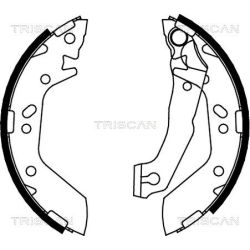 Stabdžių trinkelių komplektas TRISCAN 8100 43012