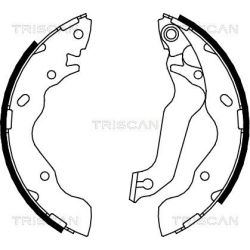 Stabdžių trinkelių komplektas, stovėjimo stabdis TRISCAN 8100 43013