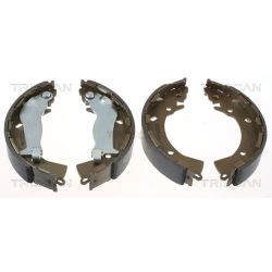 Stabdžių trinkelių komplektas TRISCAN 8100 43014