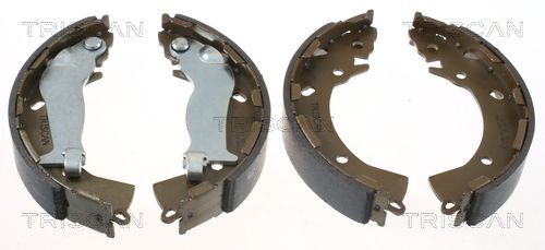 Stabdžių trinkelių komplektas TRISCAN 8100 43014