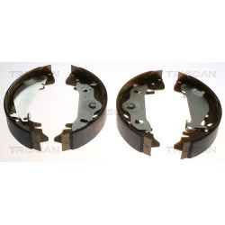 Stabdžių trinkelių komplektas TRISCAN 8100 43017