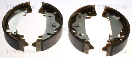 Stabdžių trinkelių komplektas TRISCAN 8100 43017