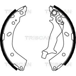 Stabdžių trinkelių komplektas TRISCAN 8100 43018