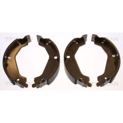 Stabdžių trinkelių komplektas, stovėjimo stabdis TRISCAN 8100 43019