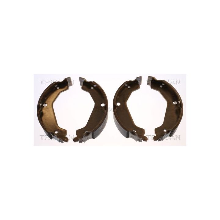 Stabdžių trinkelių komplektas, stovėjimo stabdis TRISCAN 8100 43019