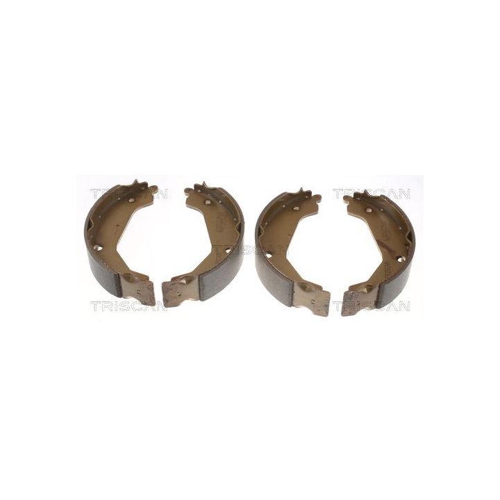 Stabdžių trinkelių komplektas, stovėjimo stabdis TRISCAN 8100 43019