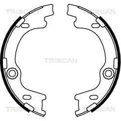 Stabdžių trinkelių komplektas, stovėjimo stabdis TRISCAN 8100 43021