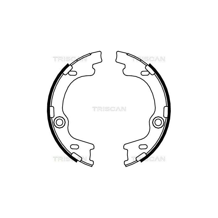 Stabdžių trinkelių komplektas, stovėjimo stabdis TRISCAN 8100 43021