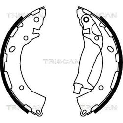 Stabdžių trinkelių komplektas TRISCAN 8100 43024