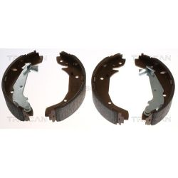 Stabdžių trinkelių komplektas TRISCAN 8100 43025