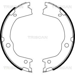 Stabdžių trinkelių komplektas, stovėjimo stabdis TRISCAN 8100 43027