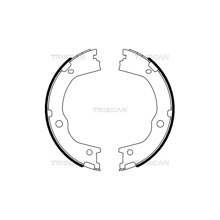 Stabdžių trinkelių komplektas, stovėjimo stabdis TRISCAN 8100 43027