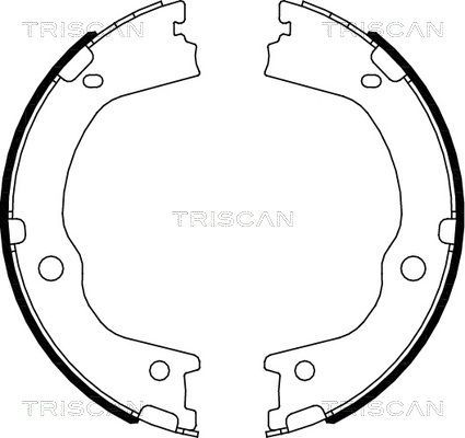 Stabdžių trinkelių komplektas, stovėjimo stabdis TRISCAN 8100 43027