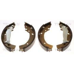 Stabdžių trinkelių komplektas TRISCAN 8100 43031