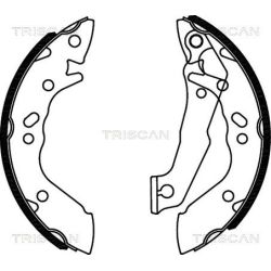 Stabdžių trinkelių komplektas TRISCAN 8100 43560