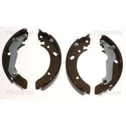 Stabdžių trinkelių komplektas TRISCAN 8100 43561