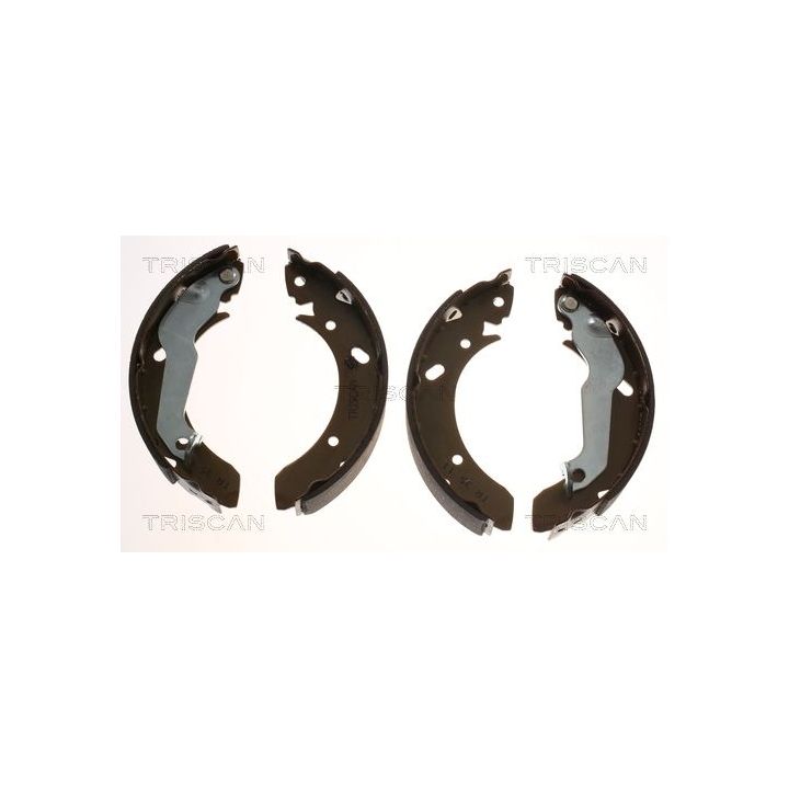Stabdžių trinkelių komplektas TRISCAN 8100 43561