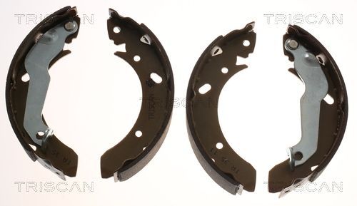 Stabdžių trinkelių komplektas TRISCAN 8100 43561