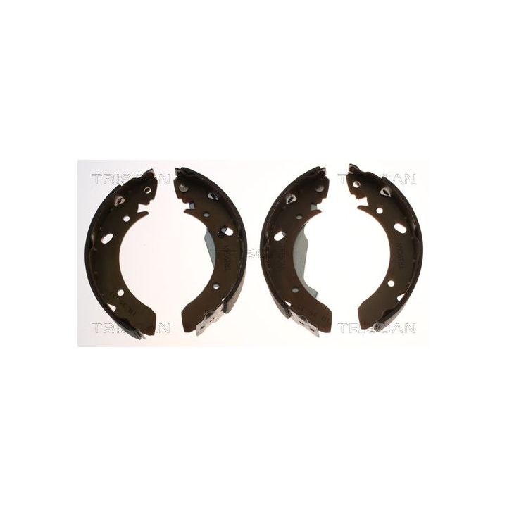 Stabdžių trinkelių komplektas TRISCAN 8100 43561